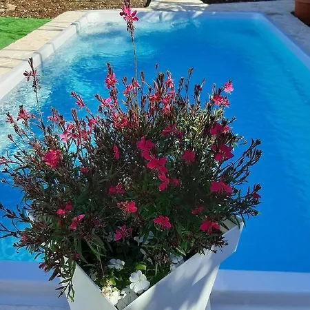 Villa Kuca Za Odmor Mili